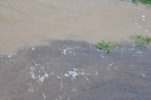 Encontro das águas escuras do Rio Negro com as águas claras do Rio Solimões
